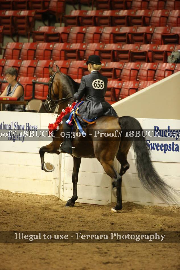 Proof 18BUCK_05306