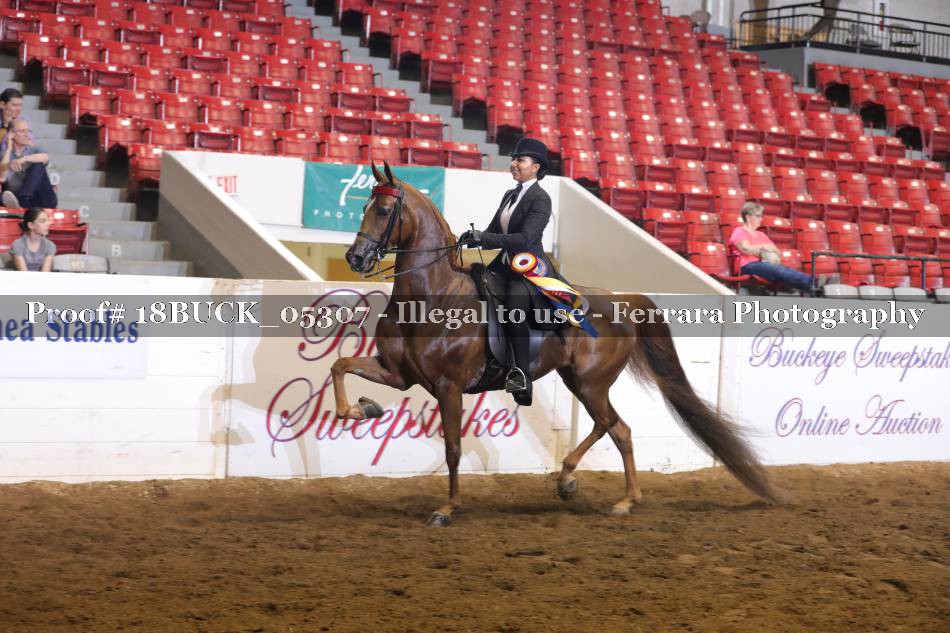 Proof 18BUCK_05307