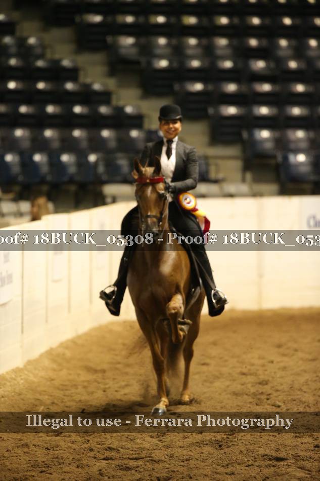 Proof 18BUCK_05308