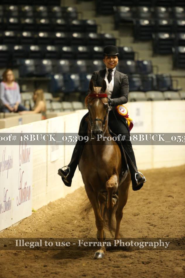 Proof 18BUCK_05309