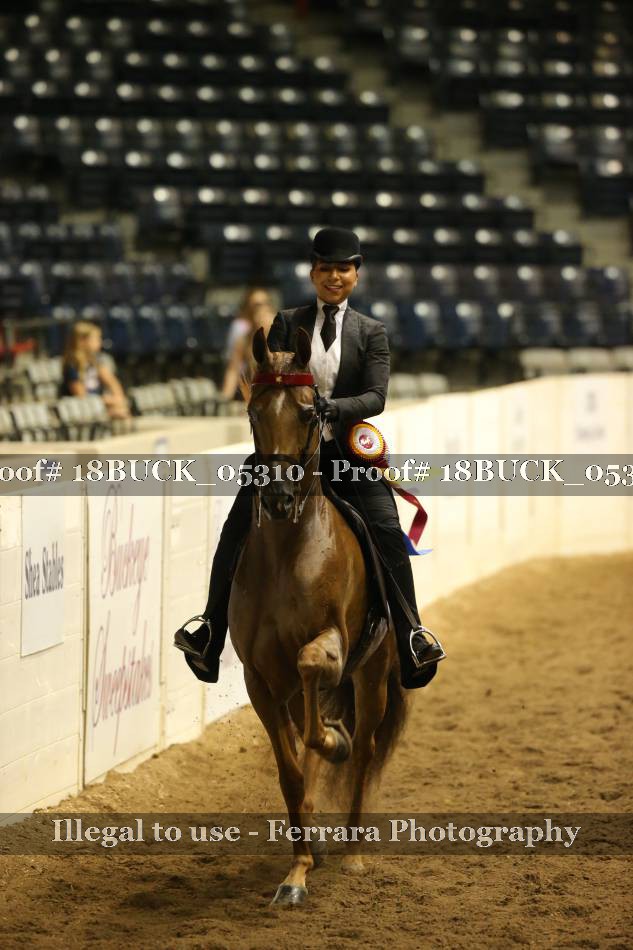 Proof 18BUCK_05310