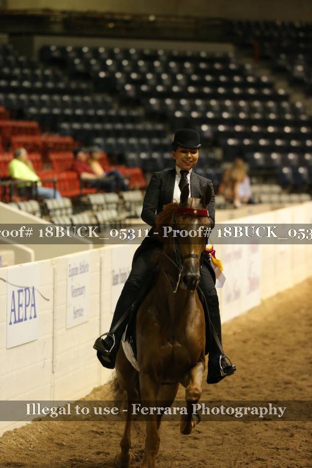 Proof 18BUCK_05311