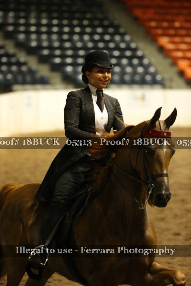 Proof 18BUCK_05313