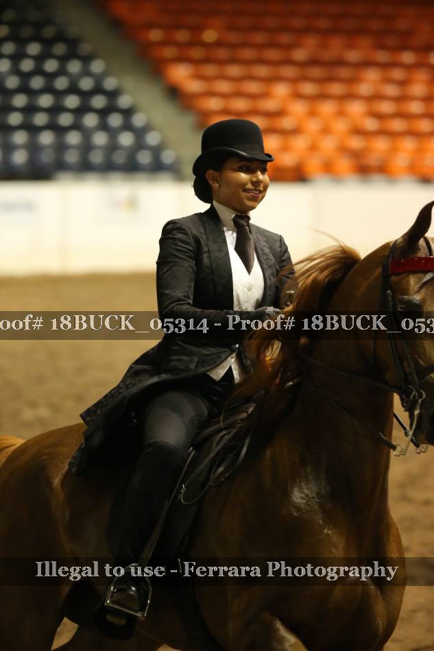 Proof 18BUCK_05314