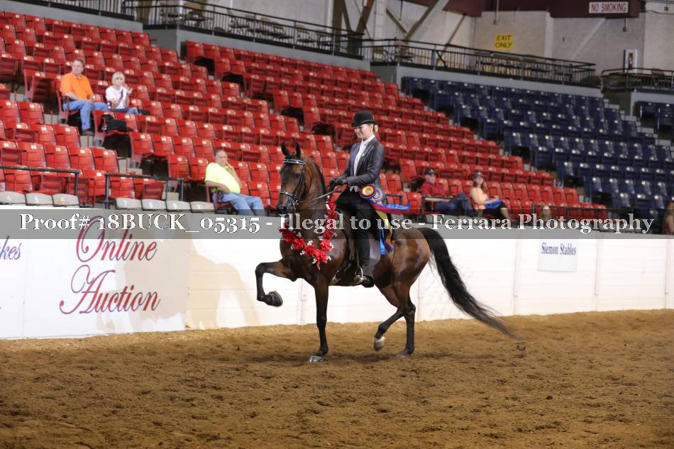 Proof 18BUCK_05315
