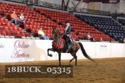 18BUCK_05315 proof