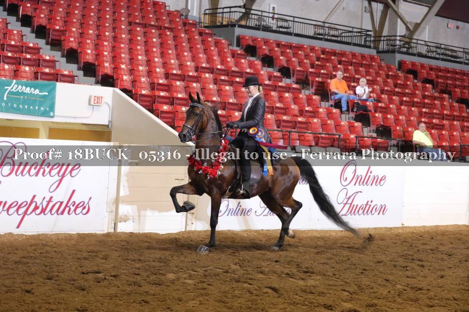 Proof 18BUCK_05316
