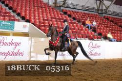 18BUCK_05316 proof