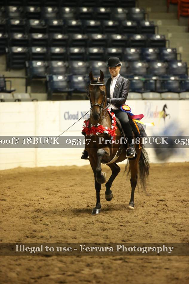 Proof 18BUCK_05317