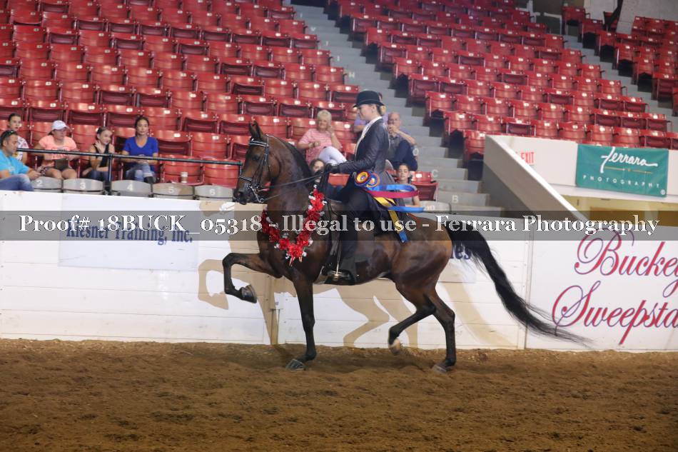 Proof 18BUCK_05318
