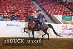 18BUCK_05318 proof
