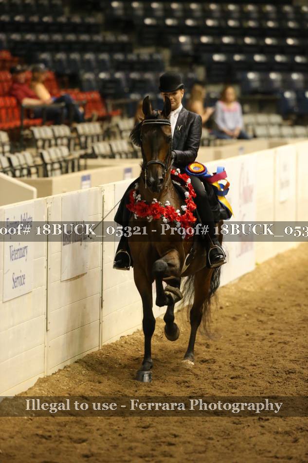 Proof 18BUCK_05321