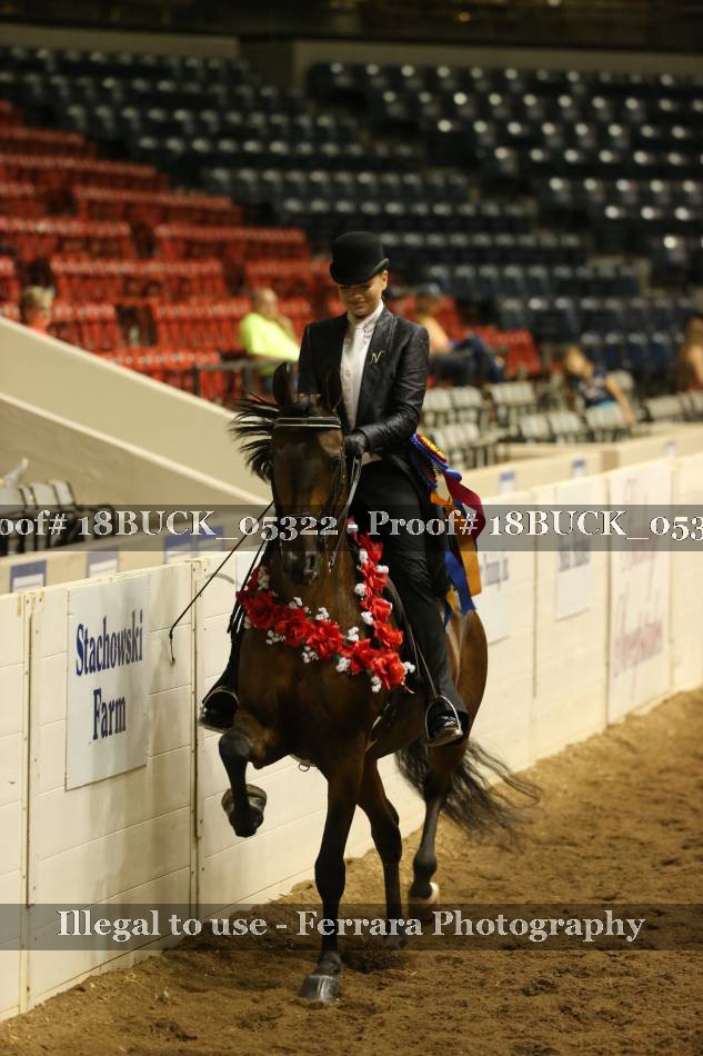 Proof 18BUCK_05322