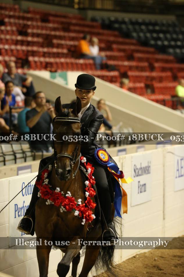 Proof 18BUCK_05323