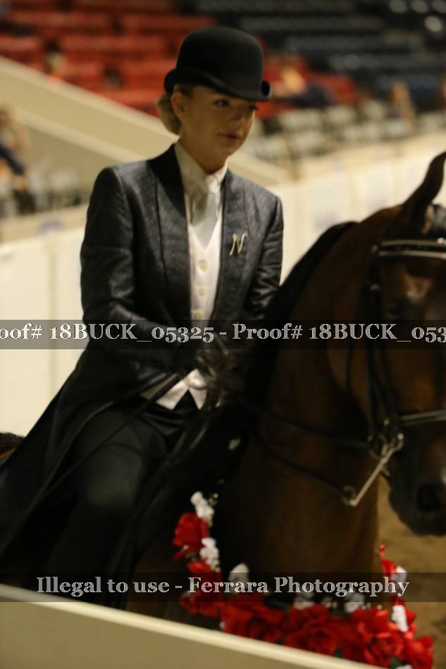 Proof 18BUCK_05325