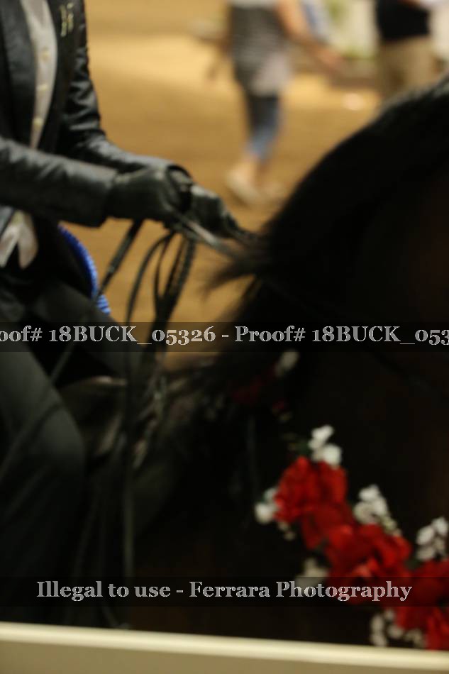 Proof 18BUCK_05326