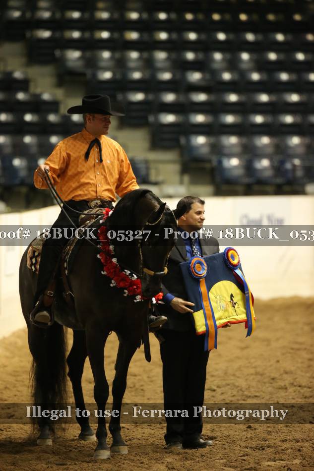 Proof 18BUCK_05327