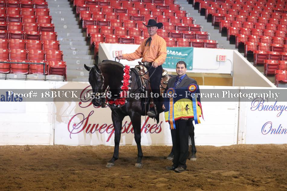 Proof 18BUCK_05328