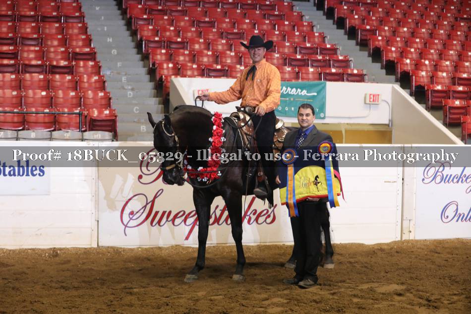 Proof 18BUCK_05329