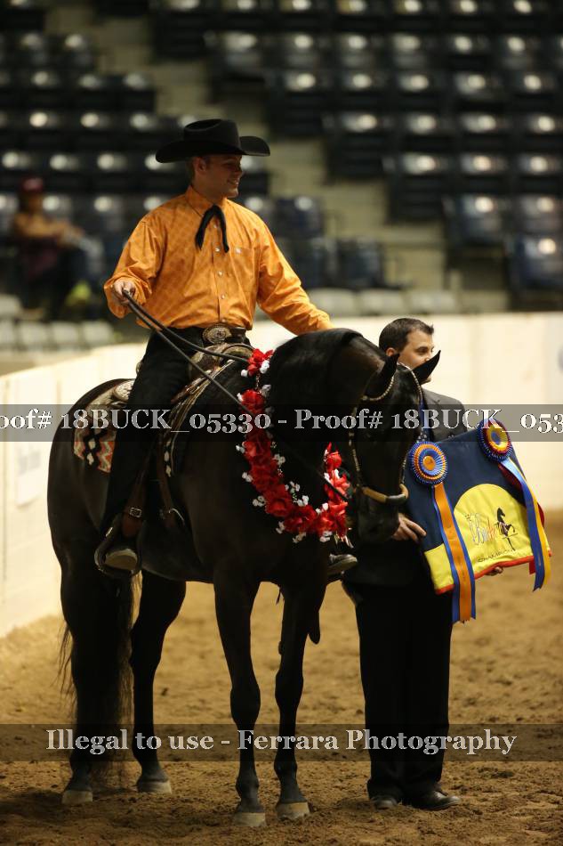 Proof 18BUCK_05330