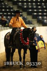 18BUCK_05330 proof