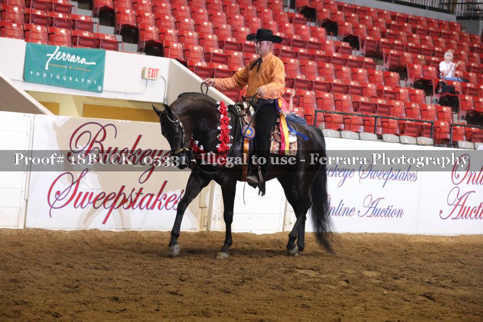 Proof 18BUCK_05331