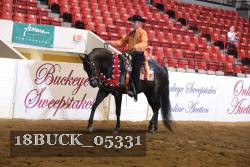18BUCK_05331 proof