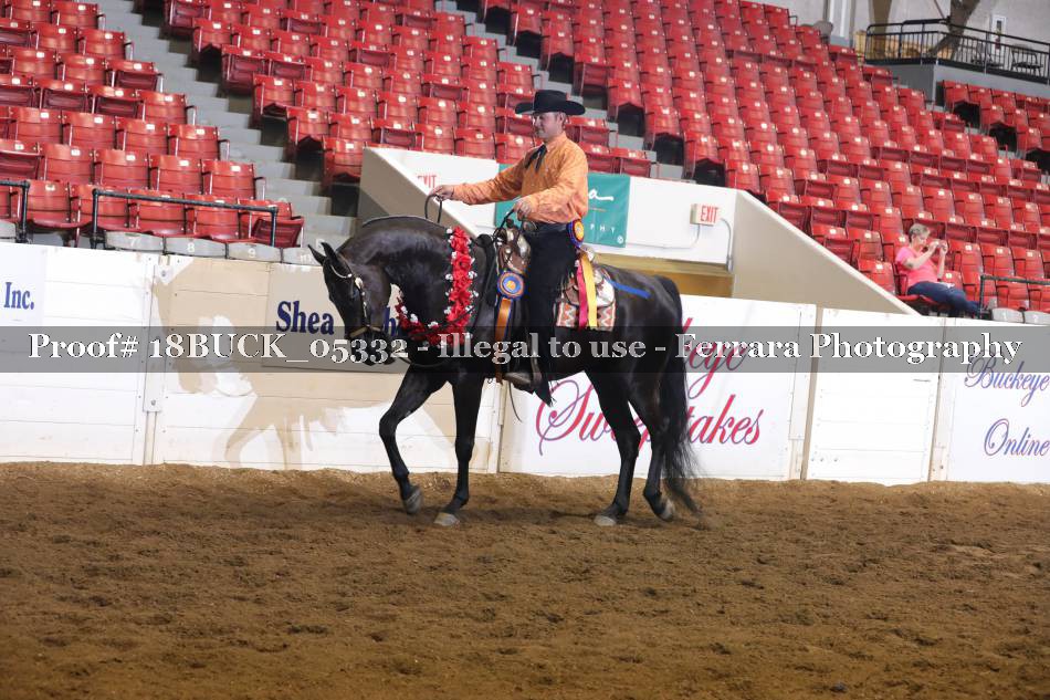 Proof 18BUCK_05332