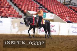 18BUCK_05332 proof