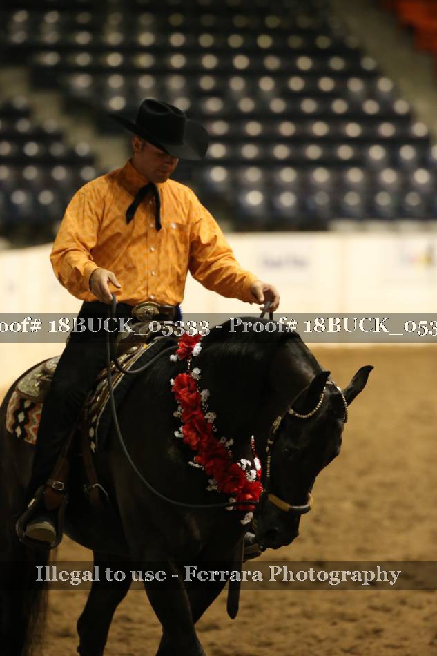 Proof 18BUCK_05333