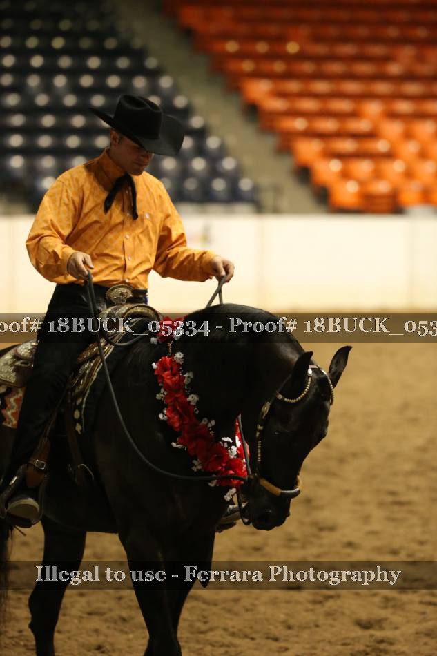 Proof 18BUCK_05334