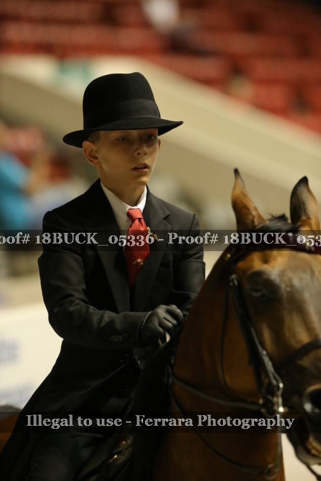 Proof 18BUCK_05336