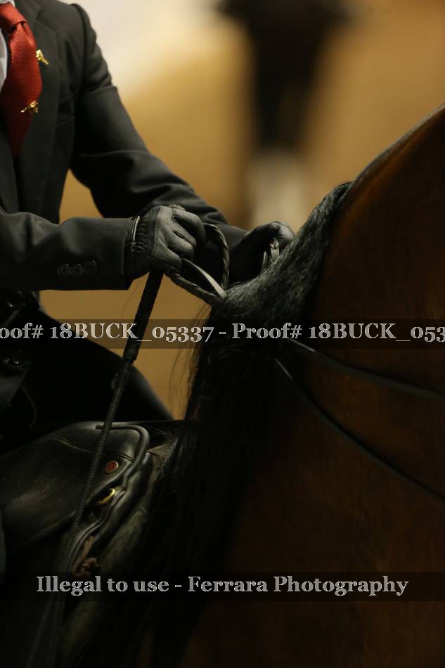 Proof 18BUCK_05337