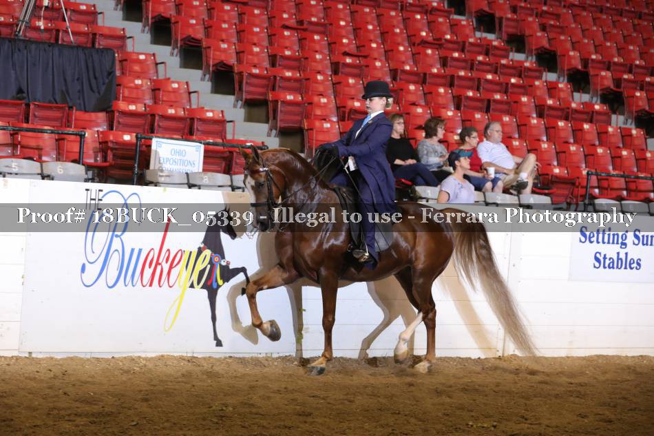 Proof 18BUCK_05339