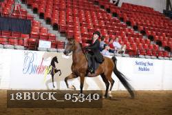 18BUCK_05340 proof