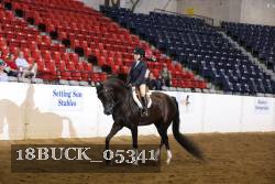 18BUCK_05341 proof