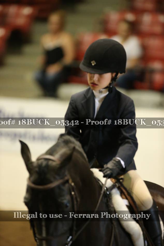 Proof 18BUCK_05342
