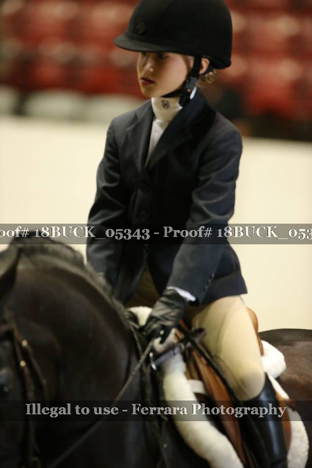 Proof 18BUCK_05343