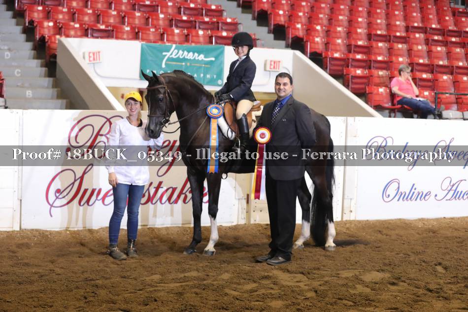 Proof 18BUCK_05349