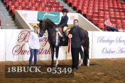 18BUCK_05349 proof