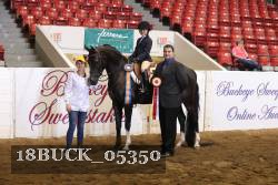 18BUCK_05350 proof