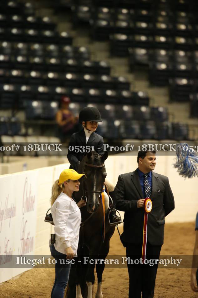 Proof 18BUCK_05351