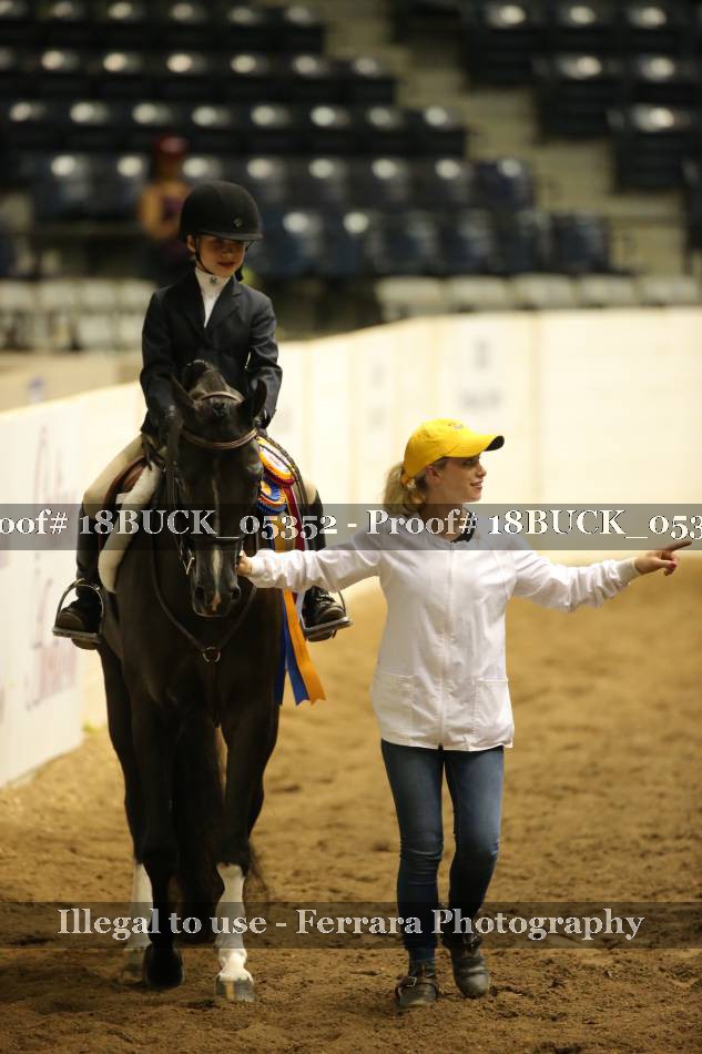 Proof 18BUCK_05352