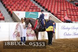 18BUCK_05353 proof