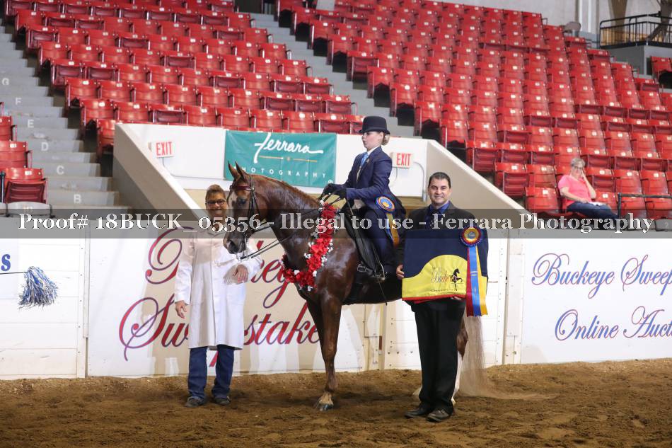 Proof 18BUCK_05356