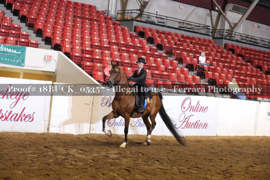 Proof 18BUCK_05357