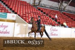 18BUCK_05357 proof