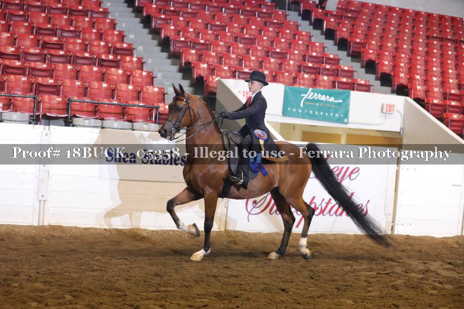 Proof 18BUCK_05358
