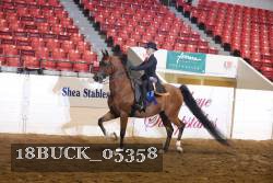 18BUCK_05358 proof