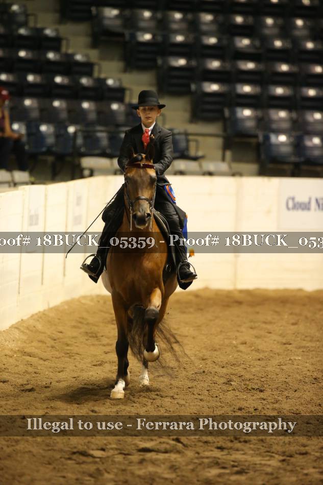 Proof 18BUCK_05359